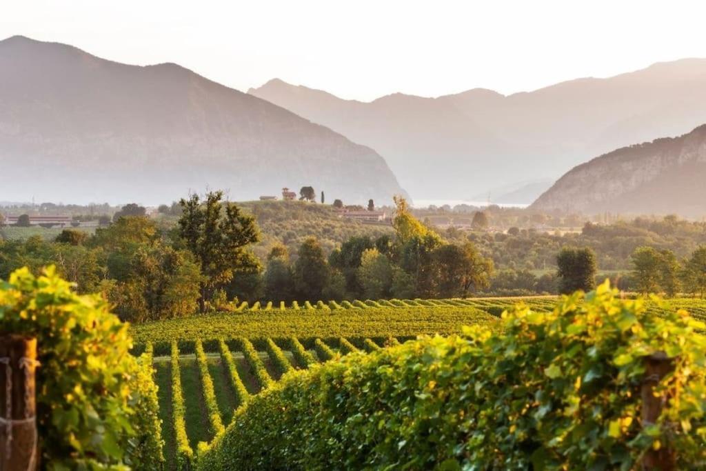 La Dolce Vita - Vista Lago E Piscina Parzanica Buitenkant foto